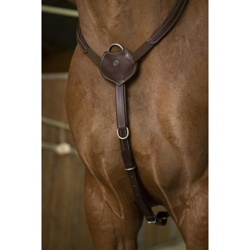 Collier de Chasse Confort en  Cuir Doublé , NORTON PRO COB HAVANE NOIR