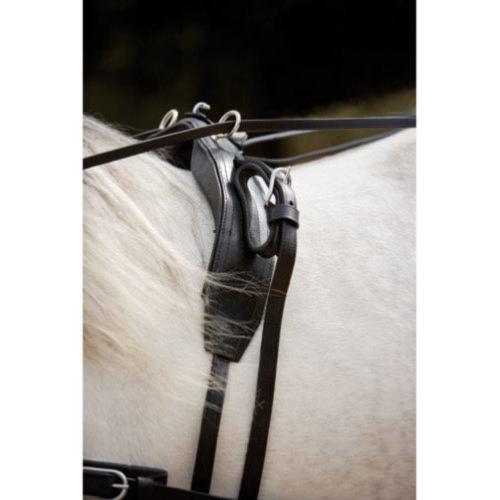 HH - Harnais d'attelage complet cuir matelassé boucles inox KIEL COB