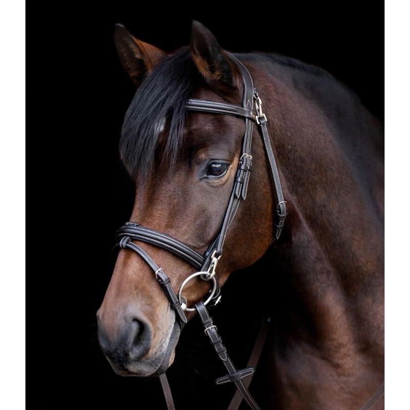 WALDHAUSEN - Bridon Cuir à têtière large et mousquetons WORK X LINE CHEVAL HAVANE