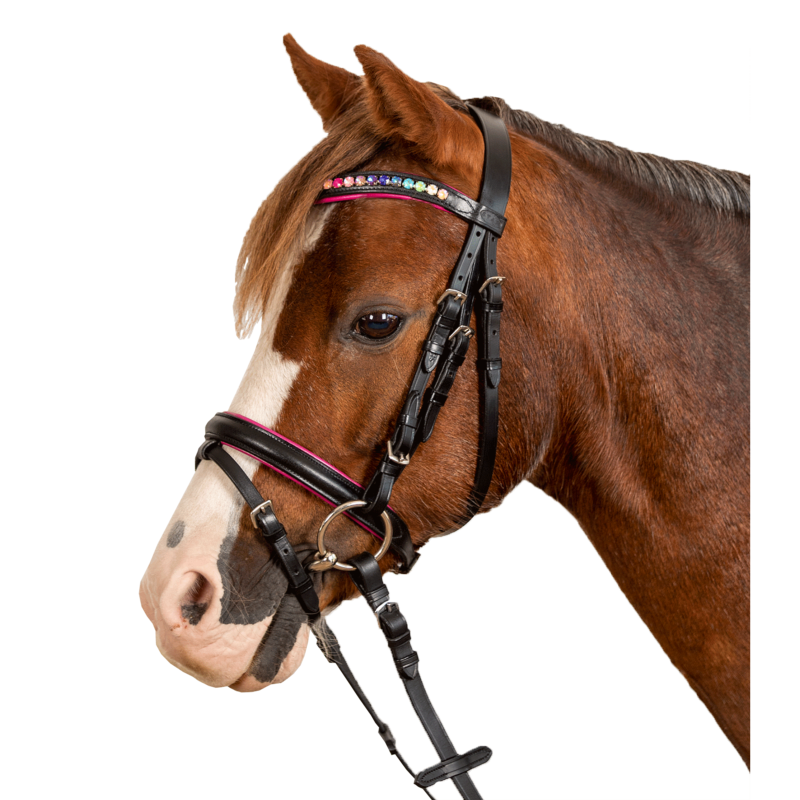 WALDHAUSEN - Bridon à Strass Colorés pour Poney, SHETLAND, MINI Shetland  PINKY STAR